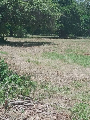 Venta De Terreno En Ex-hacienda El Jobo En Tampico Alto