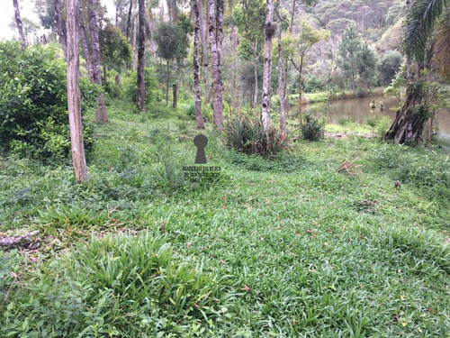Chácara A Venda No Bairro Centro Em Bocaiúva Do Sul - Pr. - 469-1