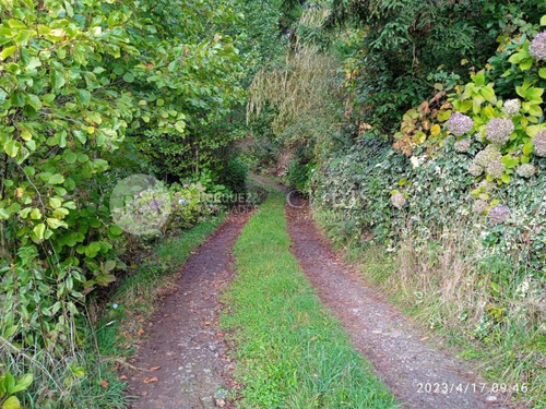 22042 - Gran Terreno Con Casa Lago Ranco/ignao 