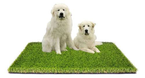 Mtbro Pasto Artificial Para Perros, 3 X 5 X 1.5 Pulgadas, Al