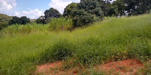 Imagem 6 de 6 de Terreno 2.100m2 Com Escritura A Venda Em Pinhalzinho Sp