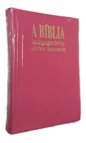 Bíblia Sagrada Ntlh Letra Gigante / Capa Zíper Rosa