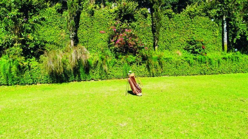 Casa Comercial À Venda Na Rua Prodócimo Lago, Taboão, Curitiba - Pr - Liv-11769