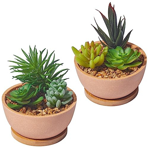 Set De 2 Plantas Suculentas Artificiales Maceta Dormito...