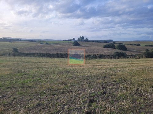 Imagen 24 de 26 de 70 Hectáreas De Campo Ganadero Corte De La Leña