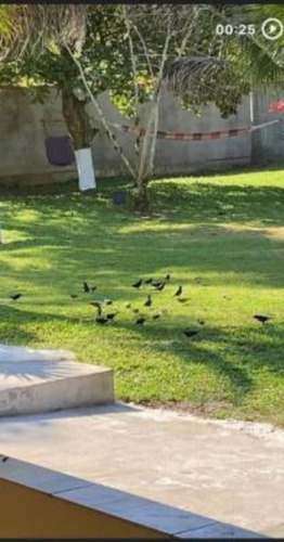 Imagem 13 de 20 de Chácara Em Condomínio Na Praia De Peruíbe/sp Com Piscina, Tanque De Peixes