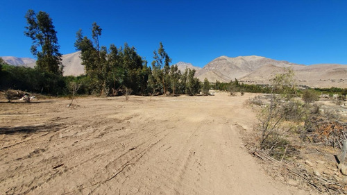 Oportunidad Arriendo O Venta Terreno Deforestado En Vicuña