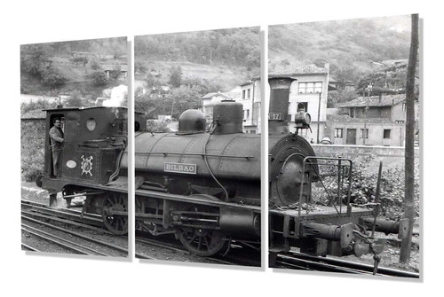 Cuadro Trip 80x120 P4 Locomotora Trenes Ferrovias Anden Viaj