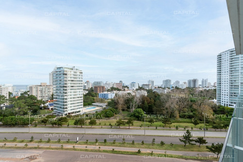 Torre One Apartamento En Venta Esquinero-ref:31134
