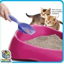 Kit Accesorios Para Gatos