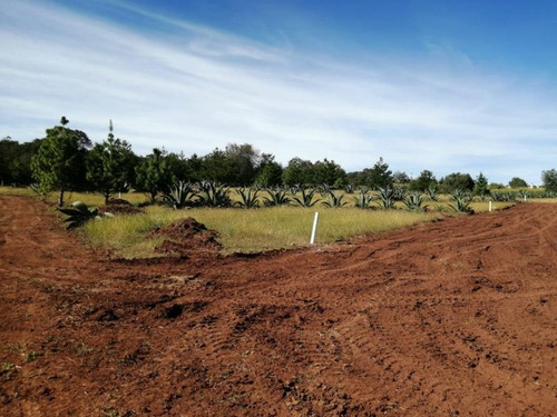 Imagen 1 de 12 de Terreno En Venta San Pablo Ojo De Agua