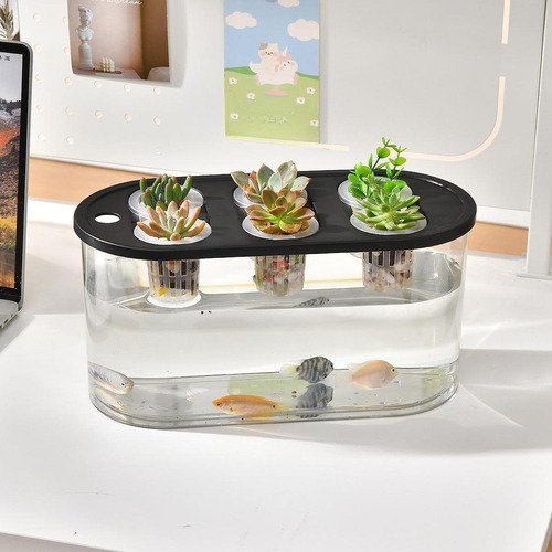 Jarrón Hydroponics Grower Box Para Arreglos Florales, Color