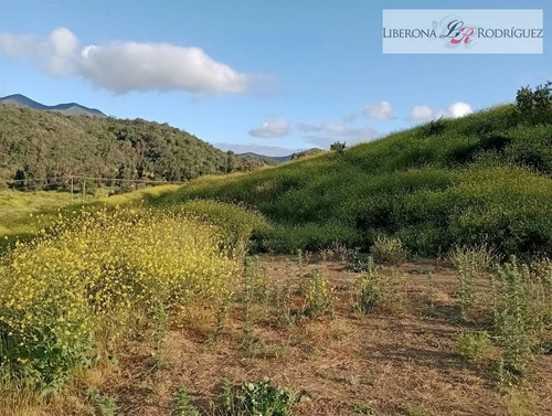 Parcela En Venta En Quillota