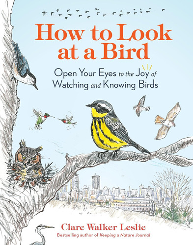 Libro: How To Look At A Bird: Open Your Eyes To The Joy Of