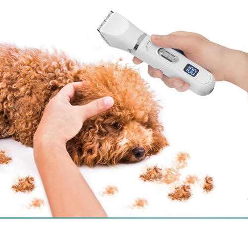 2023 Pet Clipper Juego De Kit De Aseo Para Perros, Recortado