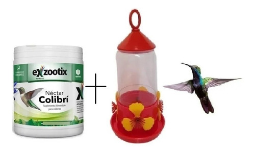 Imagen 7 de 9 de Bebedero Kit + Alimento Nectar Picaflor Colibri Exzootix
