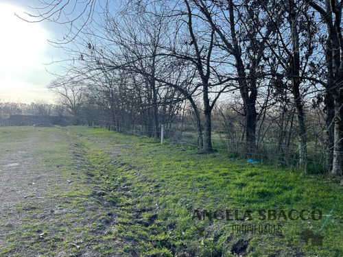 Hermoso Campito.