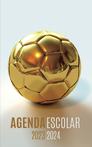 Libro: Agenda Escolar Futbol: Planificador Diario Dia Por Pa