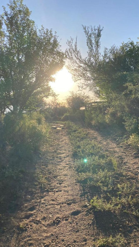 Finca Con Produccion Ideal Para Cria De Ganado.