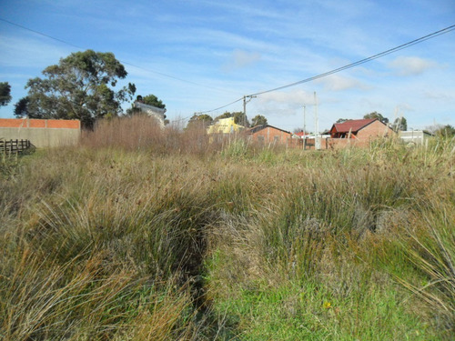 Imagen 3 de 6 de Gran Lote En Tala Sur San Clemente (cod 831)