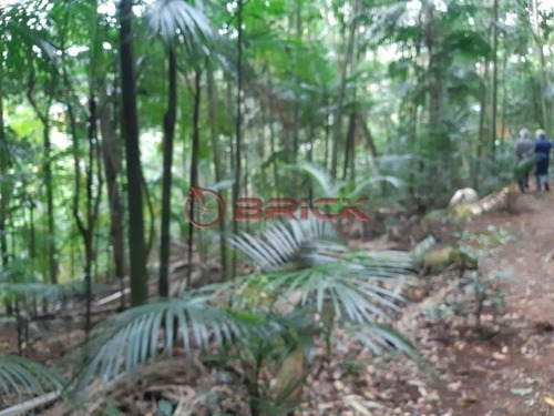 Imagem 13 de 18 de Ótimo Terreno Com 7390 M² No Bom Retiro. Teresópolis- Rj. - Te00258 - 34349368