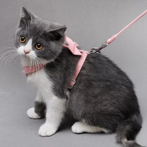 Imagen 9 de 10 de Arnés Para Gatos
