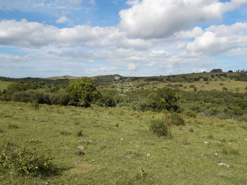 Imagen 6 de 14 de Campo Cerca De Pueblo Eden - Consulte !!!!!!! - Pueblo Eden