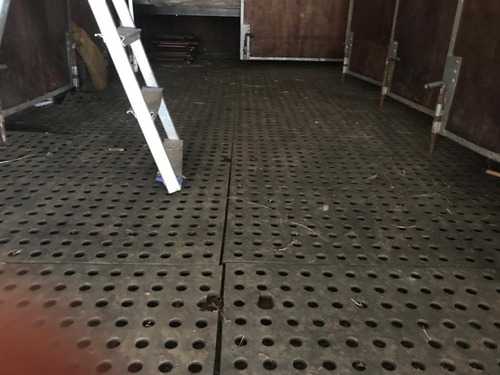 Bau Para Cavalos