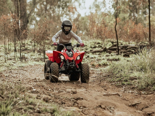 Imagen 12 de 15 de Canam Ds 90 Cuatri 0km No Yamaha Honda Motomel Usd