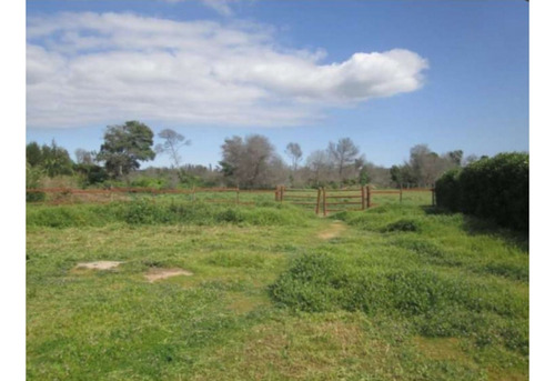 Parcela De 5.000 M² En Venta A Solo 15 Minutos De Concón