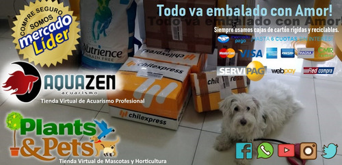 Imagen 3 de 3 de Filtro Interno Sera Fil 120 (700 L/h) Para Acuarios