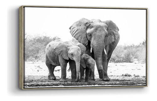 Cuadro Canvas Marco Flotado Elefante Con Sus Crias 90x140cm