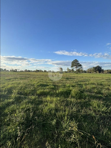 Venta Terreno Fase 3 En Olivos De Los Horneros
