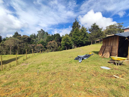 Imagen 8 de 20 de Casa Vereda Piedras Blancas - Guarne