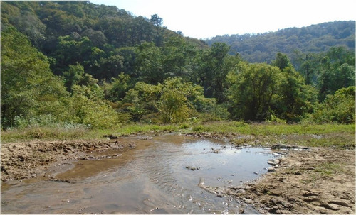 Terreno En Venta En Temascaltepec.