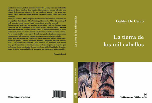 Tierra De Los Mil Caballos, La, de De Cicco Gabby. Editorial Baltasara Editora, tapa blanda en español
