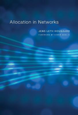 Libro Allocation In Networks - Jens Leth Hougaard