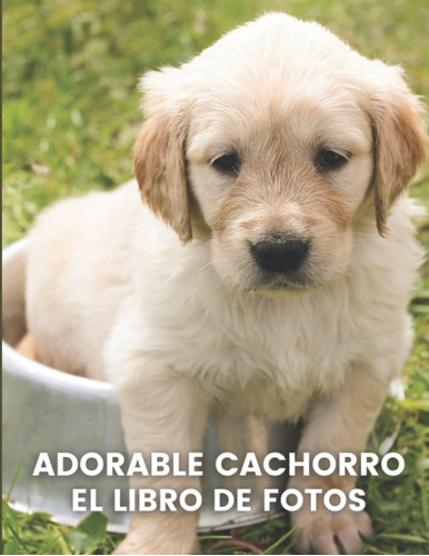 Libro: Adorable Cachorro: El Libro De Imágenes De Un Adorabl