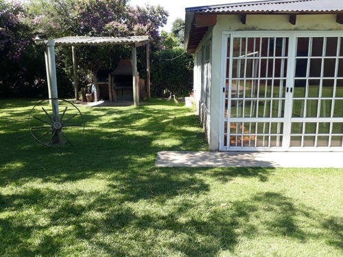 Imagen 7 de 14 de Alquiler Quinta Zona Sur