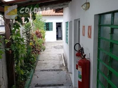 Imagem 3 de 11 de Comercial - Ref: 41830