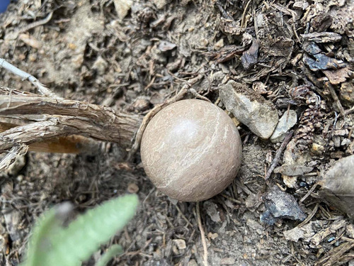 1 Esfera Onix Cafe Piedra Relajante Masaje Worry Stone