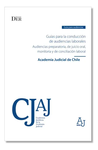 Guías Para La Conducción De Audiencias Laborales