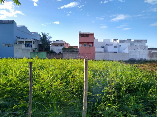 Imagem 6 de 7 de Terreno Para Locação - Campos Dos Goytacazes - 13507