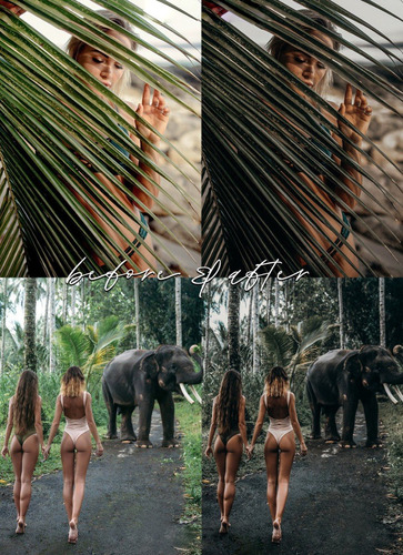 Bali Babe Blogger Pc Presets E Celular