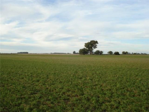 Imagen 14 de 26 de Alquiler.campo. Provincia De Buenos Aires. Ranchos