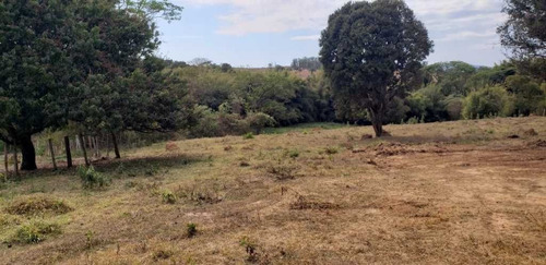 Imagem 19 de 27 de Sitio Com 2 Hectares A 4 Km Do Asfalto São João Da Boa Vista 600.000,00 - 33606