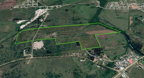 Imagen 10 de 13 de Olivos, En Pan De Azúcar, Ruta 9