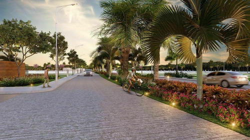 Imagen 7 de 15 de Venta De Terreno Cerca De Telchac Puerto Yucatan