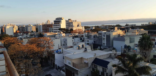 Imagen 1 de 14 de Alquiler Apartamento 3 Dormitorios Pocitos, Panorámica Vista