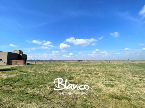 Terreno Lote  En Venta En Alto Los Cardales, Campana, G.b.a. Zona Norte